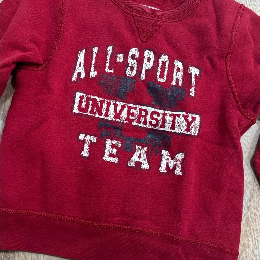 The Children's Place Red All Sport University Team Sweater